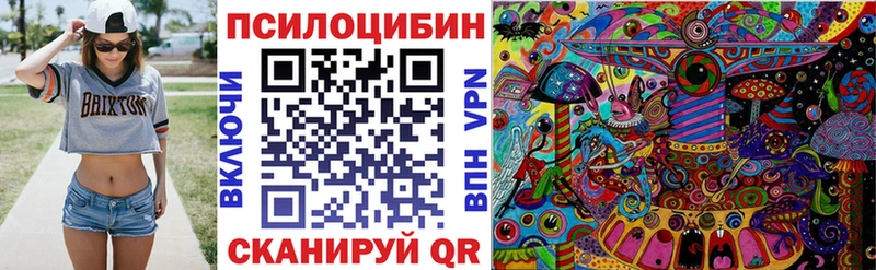 Псилоцибиновые грибы прущие грибы  дарнет шоп  omg как войти  Новозыбков 