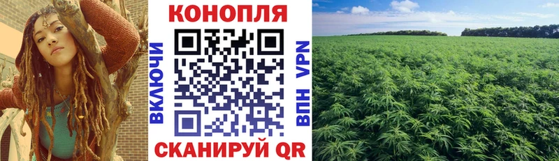 Бошки марихуана гибрид  Новозыбков 